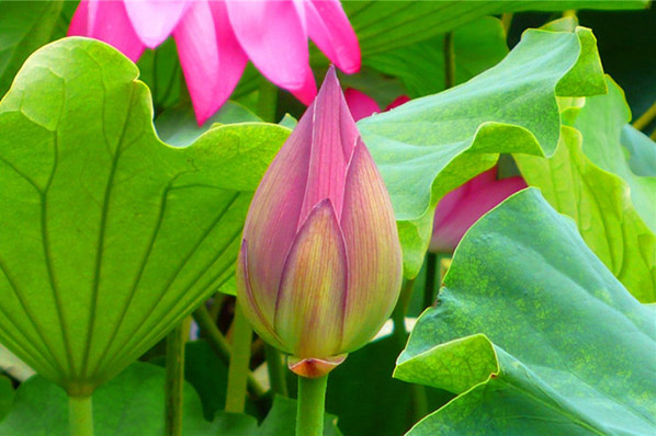 心态年轻的5个特质