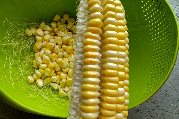 玉米粥制作过程